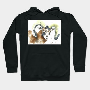 Cyprus Mouflon Hoodie